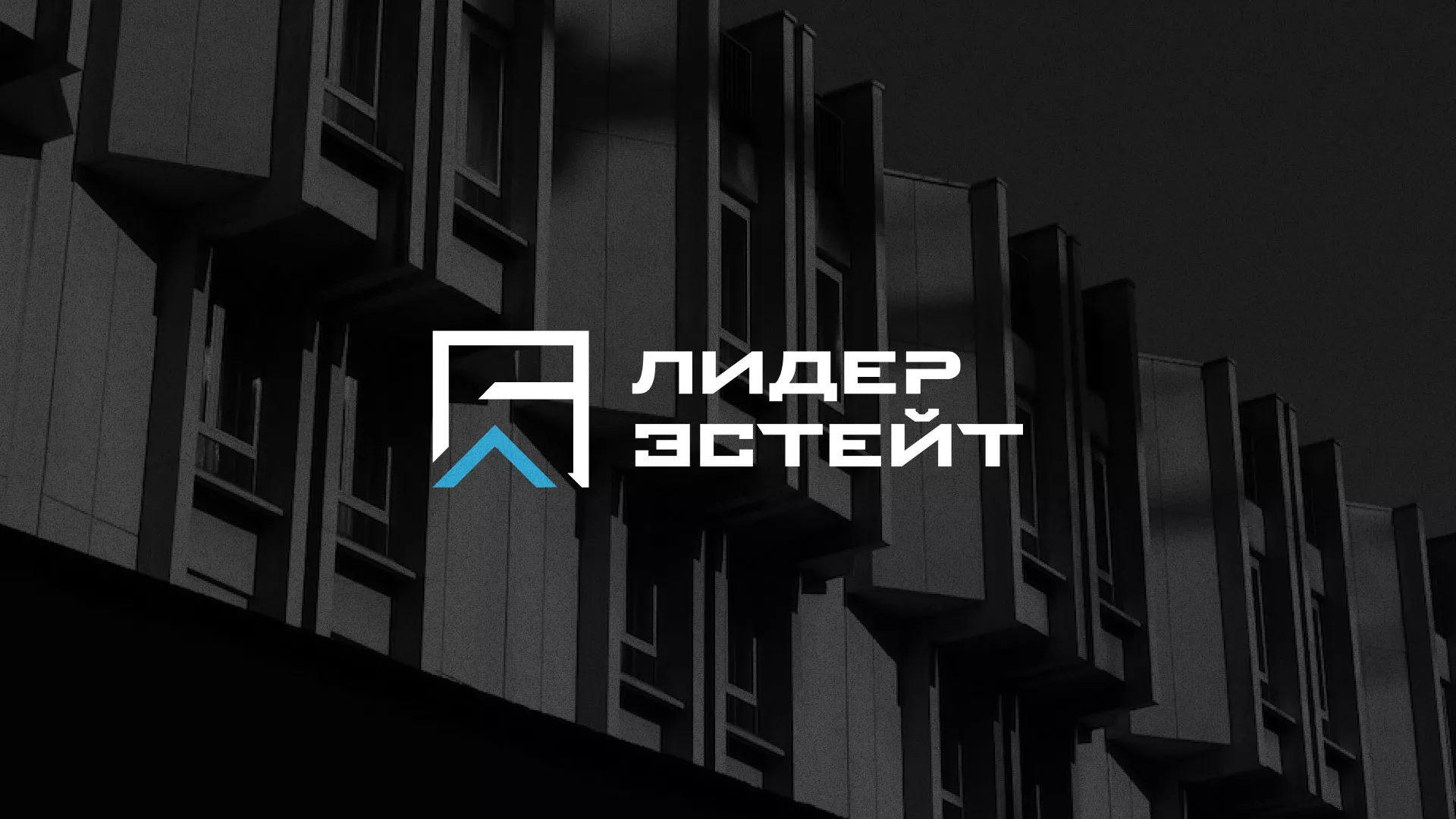 Разработка логотипа агентства недвижимости «Лидер Эстейт» в Краснокаменске